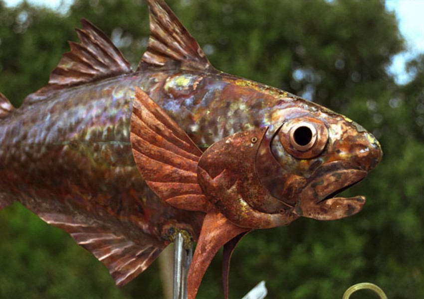 'Codfish & Friends' weathervane — copper, stainless, 36”